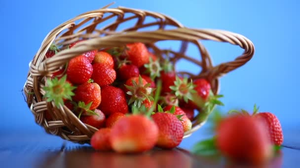 Ripe red organic strawberry — Stock Video