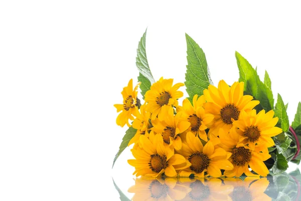 Bouquet of yellow big daisies — Stock Photo, Image