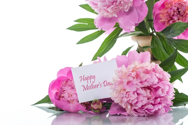 Bouquet of blooming peonies — Stock Photo, Image