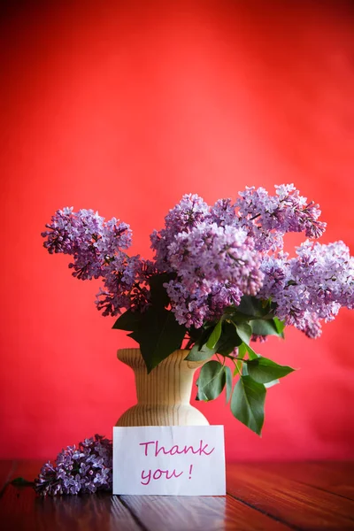 Tak van de bloeiende lente Lila — Stockfoto