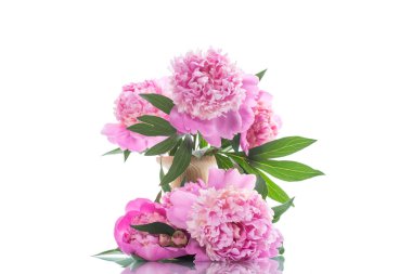 buket çiçek açan peonies