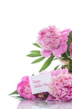 buket çiçek açan peonies