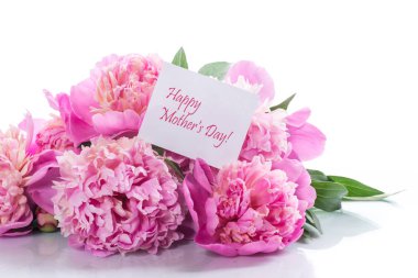 buket çiçek açan peonies