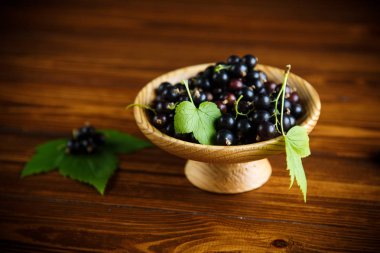 olgun meyveler siyah kuş üzümü