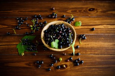 olgun meyveler siyah kuş üzümü