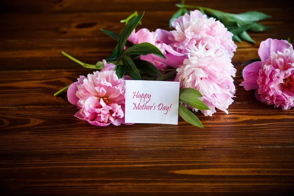 Buket çiçek açan peonies — Stok fotoğraf