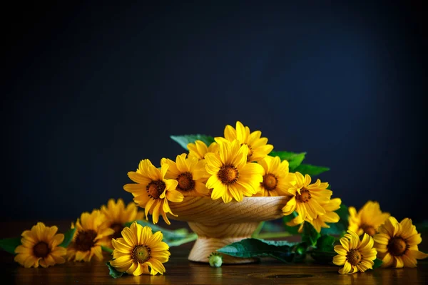 Bouquet de grandes marguerites jaunes — Photo