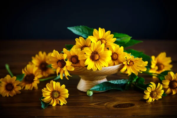 buket sarı büyük papatya