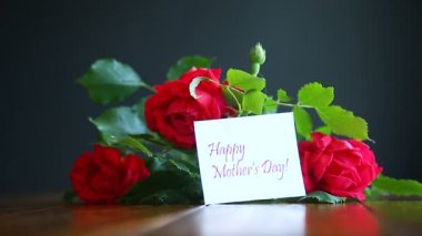 güzel kırmızı çiçek açan gül