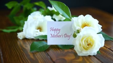 güzel beyaz çiçek açan güller