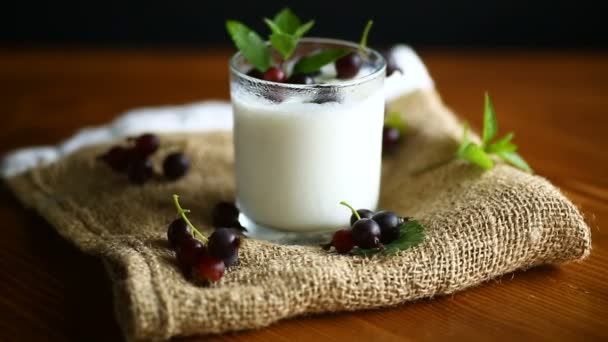 Siyah frenk üzümü ile tatlı ev yapımı yoğurt — Stok video