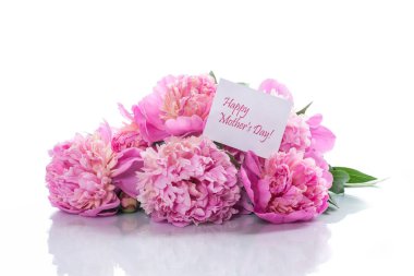 Beyaz arka plan üzerinde çiçek açan peonies buket