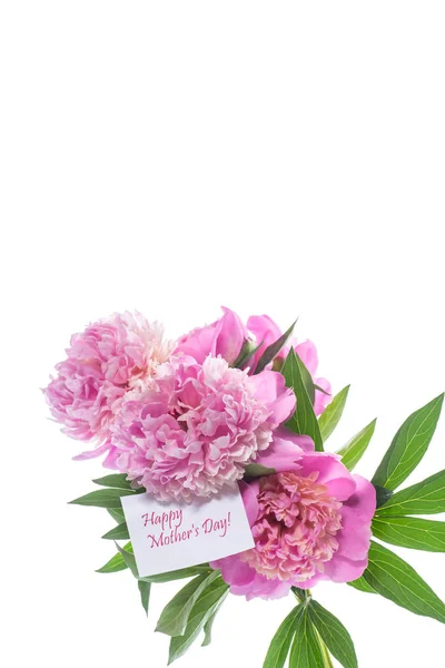 Bouquet of blooming peonies on white background — Stock Photo, Image