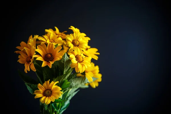 Bouquet of yellow big daisies on a black — Stock Photo, Image