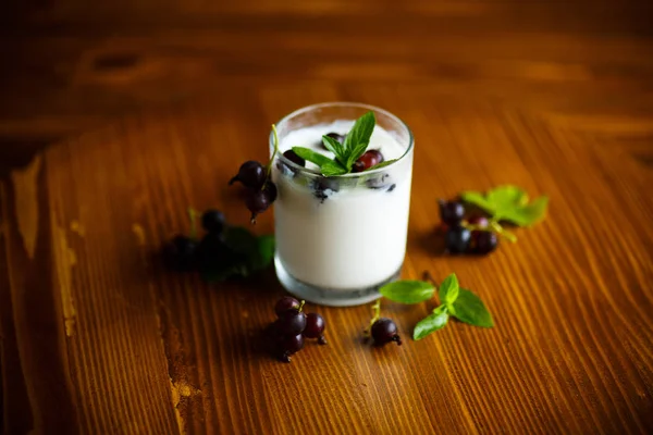 Söta hemmagjord yoghurt med svarta vinbär i ett glas — Stockfoto