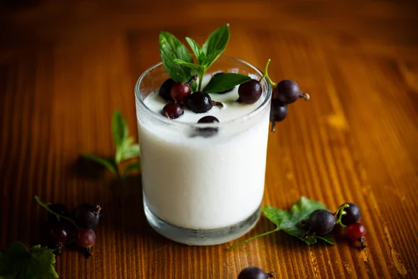 Söta hemmagjord yoghurt med svarta vinbär i ett glas — Stockfoto