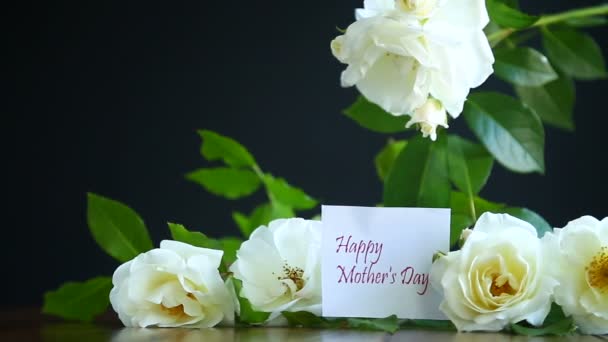 Beautiful white blooming roses — Stock Video