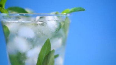 yaz tatlı soğuk komposto taze elma ile nane fışkın