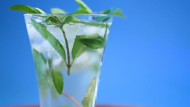 Summer sweet cold compote of fresh apples with a sprig of mint — Stock Video