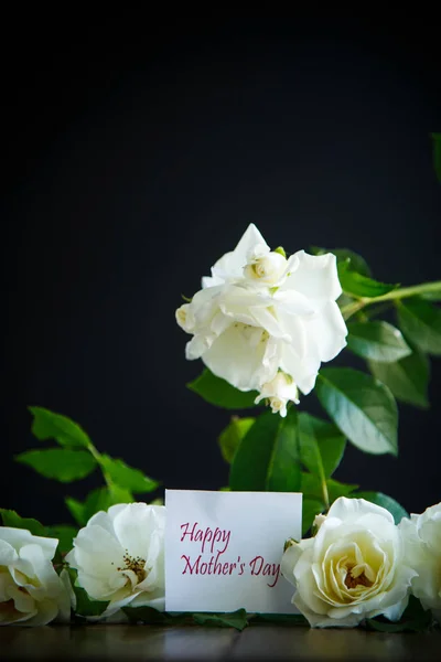 Красиві Білі Квітучі Троянди Чорному Тлі — стокове фото