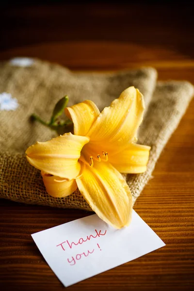Żółte Kwiaty Lilii Pąki Czarnym Tle — Zdjęcie stockowe