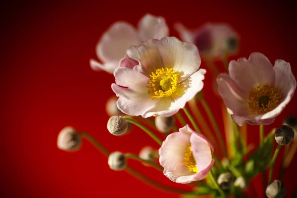 Χαριτωμένο Ροζ Μπουκέτο Λουλούδια Κόκκινο Φόντο — Φωτογραφία Αρχείου