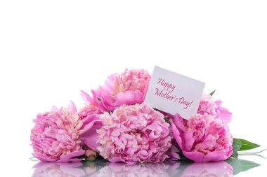 buket çiçek açan peonies beyaz arka plan üzerinde izole