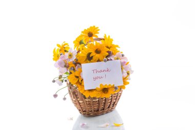 Beyaz arka plan üzerinde izole sarı büyük papatya buketi