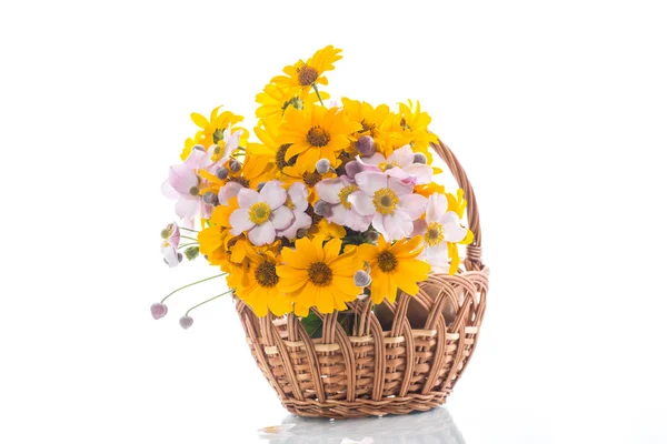 Bouquet Margherite Gialle Isolate Sfondo Bianco — Foto Stock