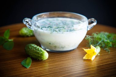 soğuk yaz salatalık çorbası bir masaya bir tabak içinde