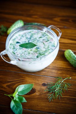 soğuk yaz salatalık çorbası bir masaya bir tabak içinde