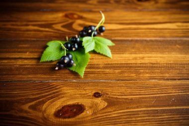 ahşap bir masa üzerinde olgunlaşmış ham meyveleri siyah kuş üzümü