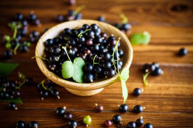 ahşap bir masa üzerinde olgunlaşmış ham meyveleri siyah kuş üzümü