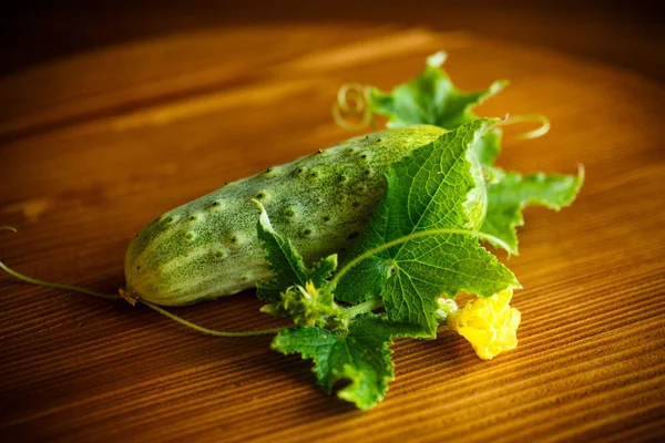 Verse Groene Komkommers Een Houten Achtergrond — Stockfoto