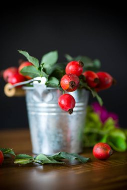 Olgun kırmızı briar meyveleri siyah bir zemin üzerine dal