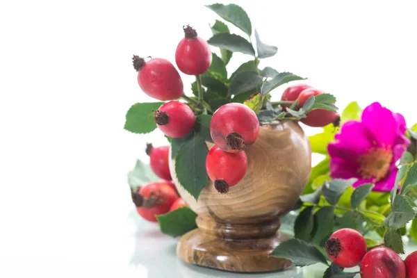 Ripe Red Briar Berries Branch White Background — Stock Photo, Image