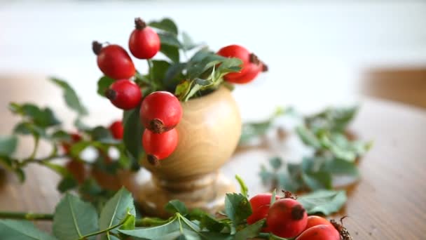 Reife rote Beeren auf einem Zweig — Stockvideo