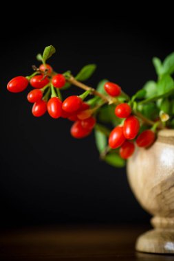 Kırmızı Olgun goji berry siyah bir arka plan üzerinde izole dal