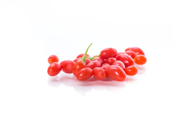 Rode Rijpe Goji Berry Een Tak Geïsoleerd Een Witte Achtergrond — Stockfoto
