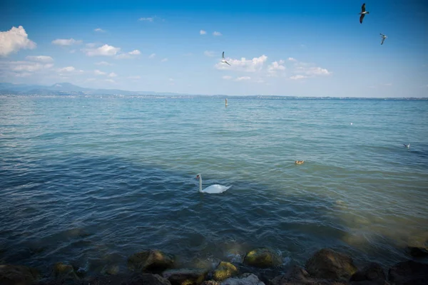 Belo Lago Garda Itália Dia Ensolarado Verão Setembro 2018 — Fotografia de Stock