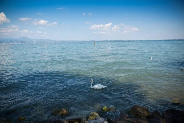 Schöner Gardasee Italien Ein Sonniger Sommertag September 2018 — Stockfoto