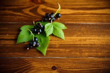 ahşap bir masa üzerinde olgunlaşmış ham meyveleri siyah kuş üzümü