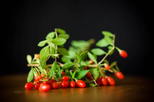 Red Ripe Goji Berry Branch Isolated Black Background — Stock Photo, Image