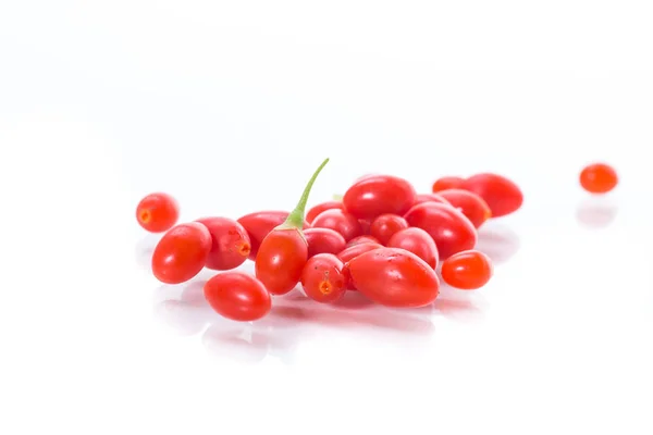 Red Ripe Goji Berry Branch Isolated White Background — Stock Photo, Image