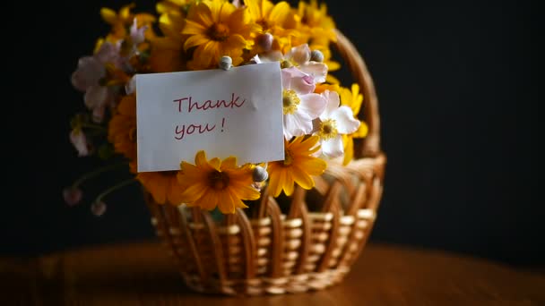 Bouquet de grandes marguerites jaunes — Video