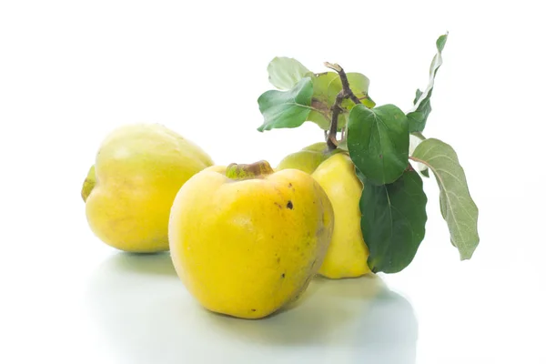 Dojrzały Owoc Żółty Pigwa Białym Tle — Zdjęcie stockowe