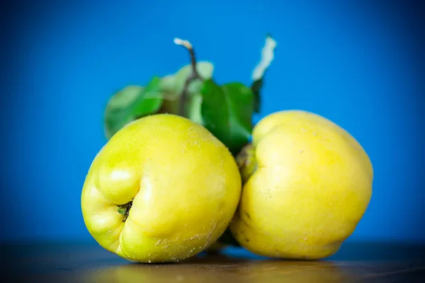 Fruta Madura Membrillo Amarillo Aislado Sobre Fondo Azul —  Fotos de Stock