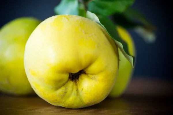 Ripe Fruit Yellow Quince Isolated Black Background — Stock Photo, Image