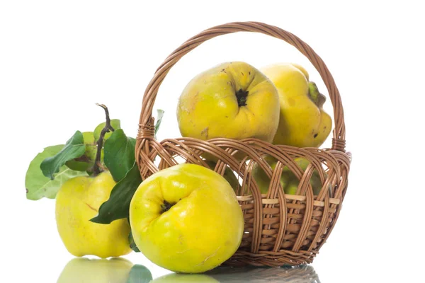 Frutta Matura Mela Cotogna Gialla Isolata Fondo Bianco — Foto Stock