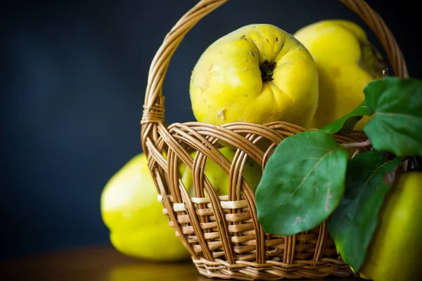 Ripe Yellow Quince Fruits Basket Isolated Black Background — Stock Photo, Image